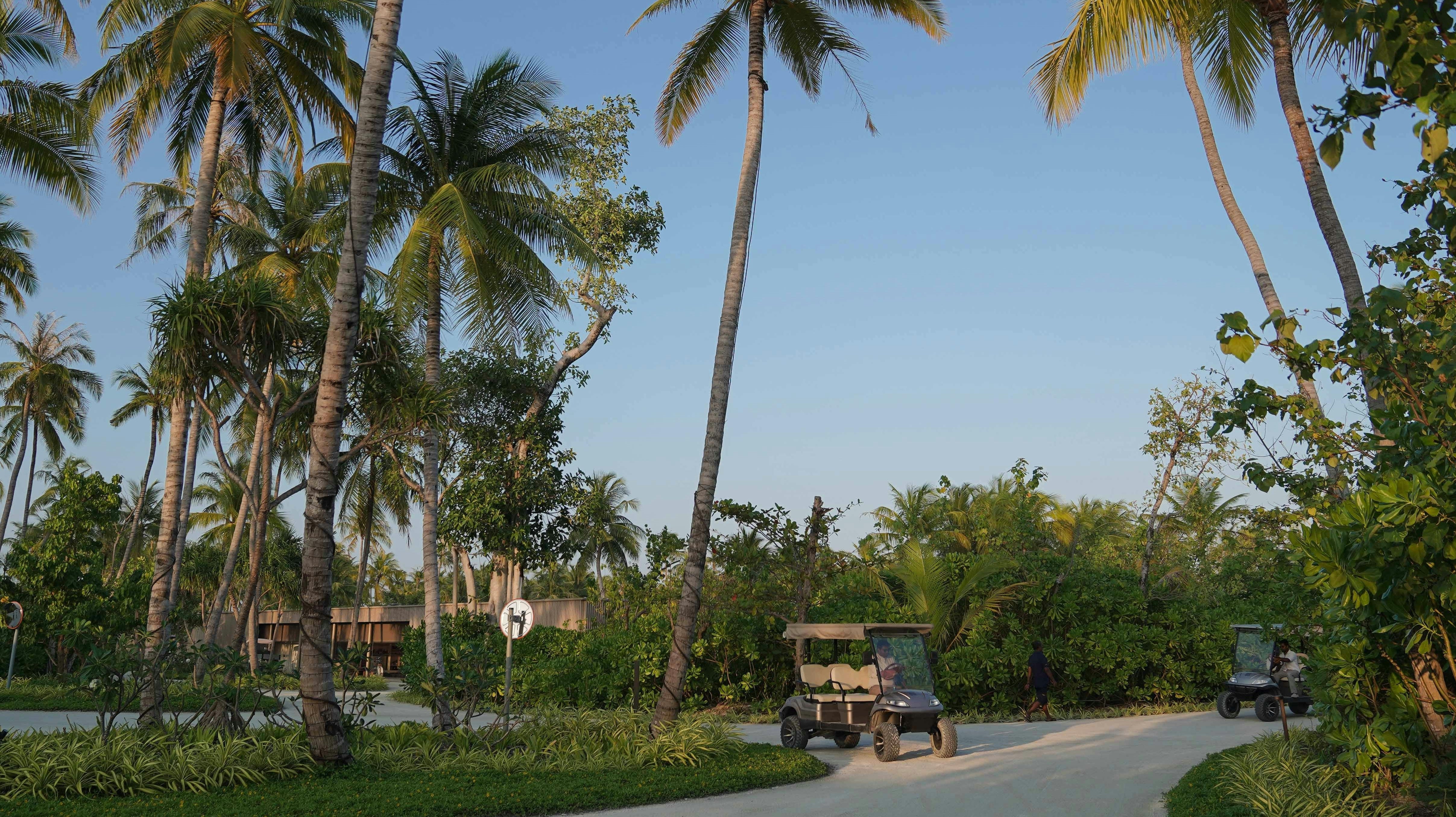 golf cart tamarindo palm trees