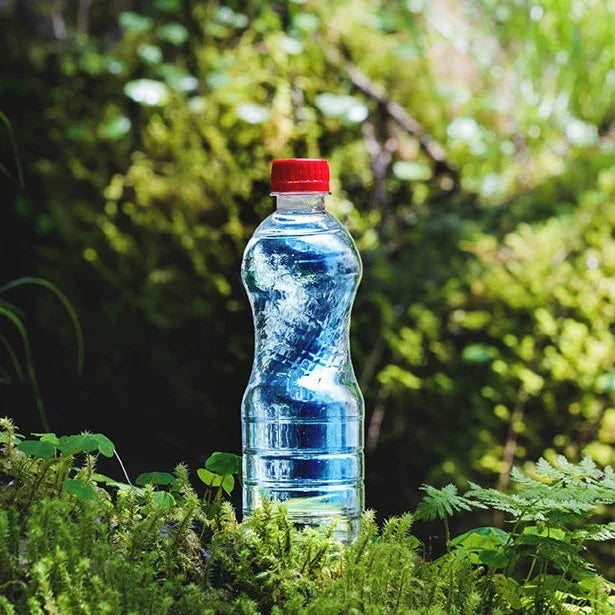 Clear water bottle with red cap nestled in lush green moss and ferns, ideal for outdoor adventures.