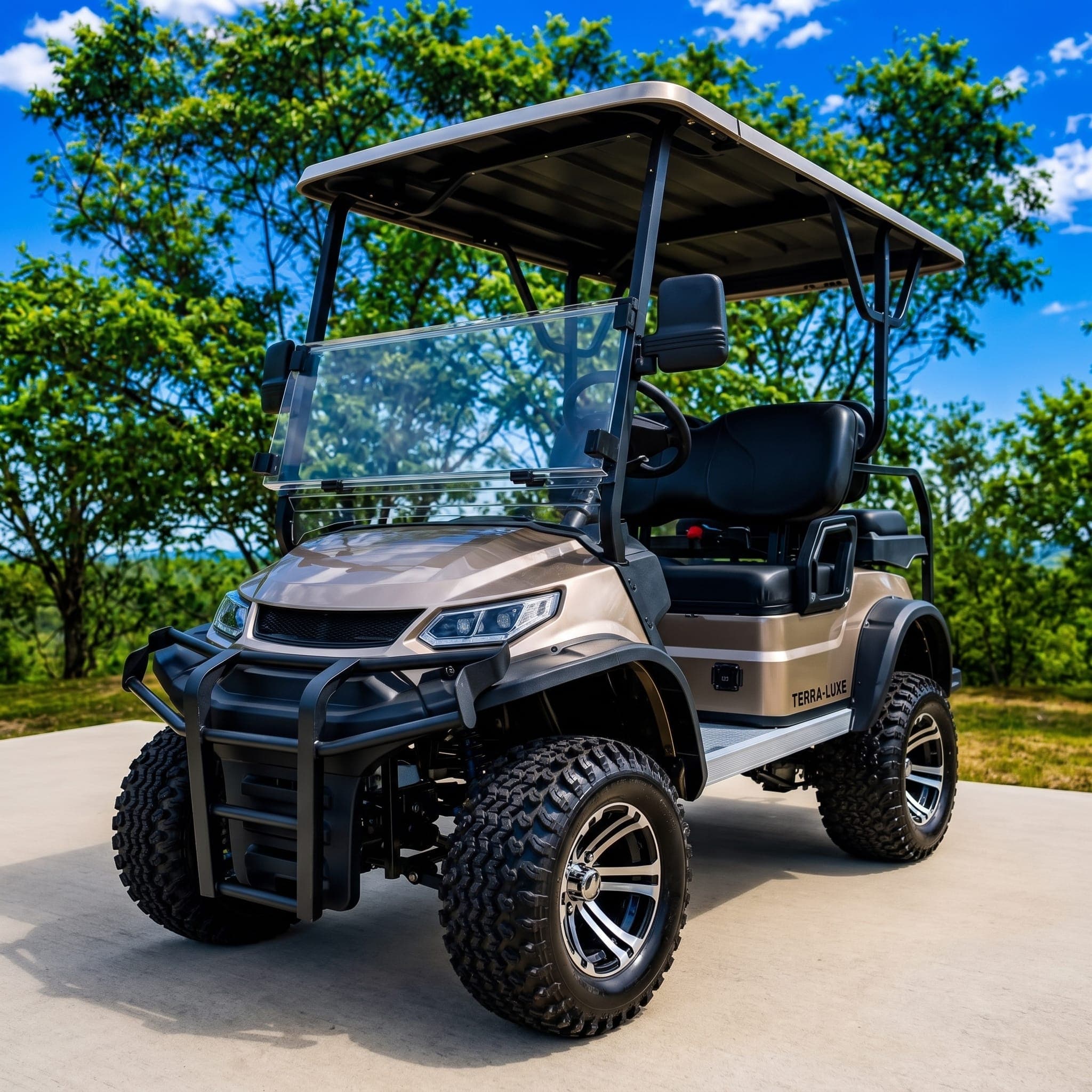 Electric Golf Cart (4-Seater), photo 3