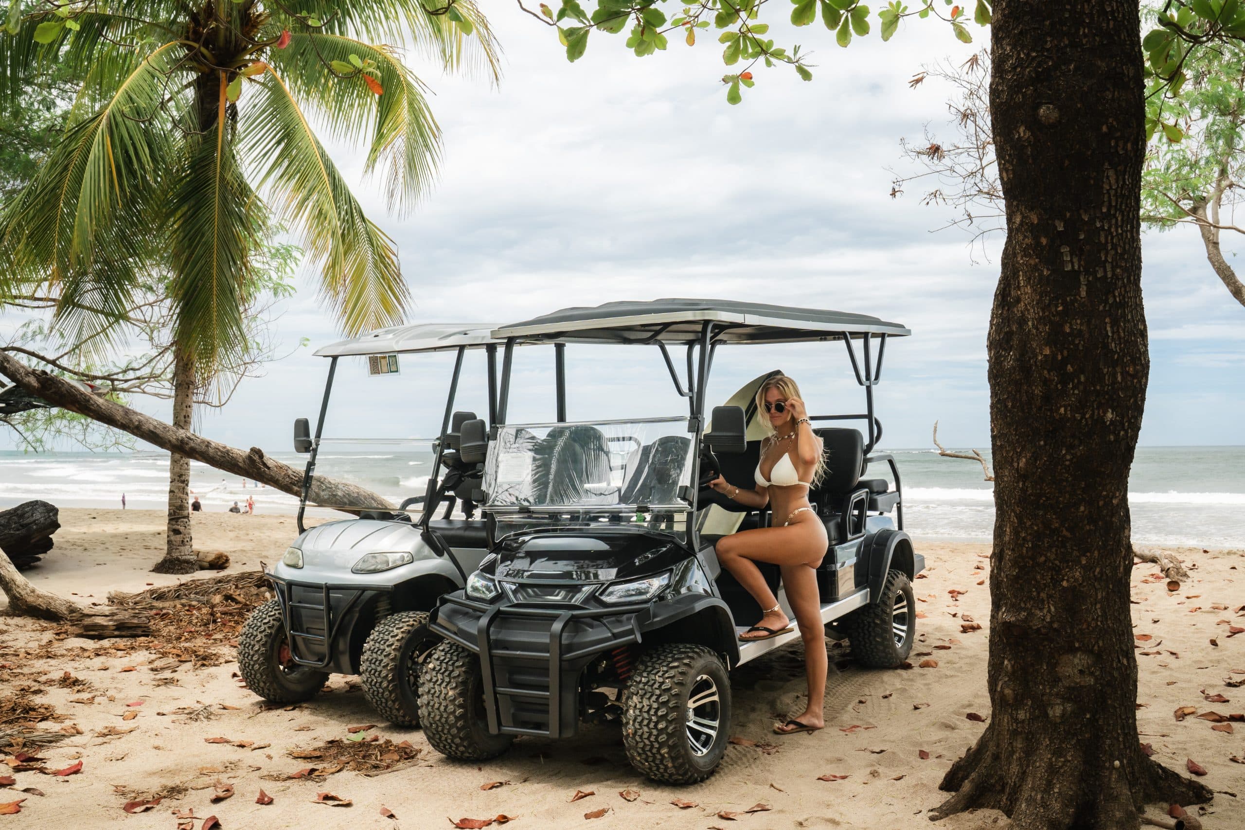 Electric Golf Cart (4-Seater), photo 2