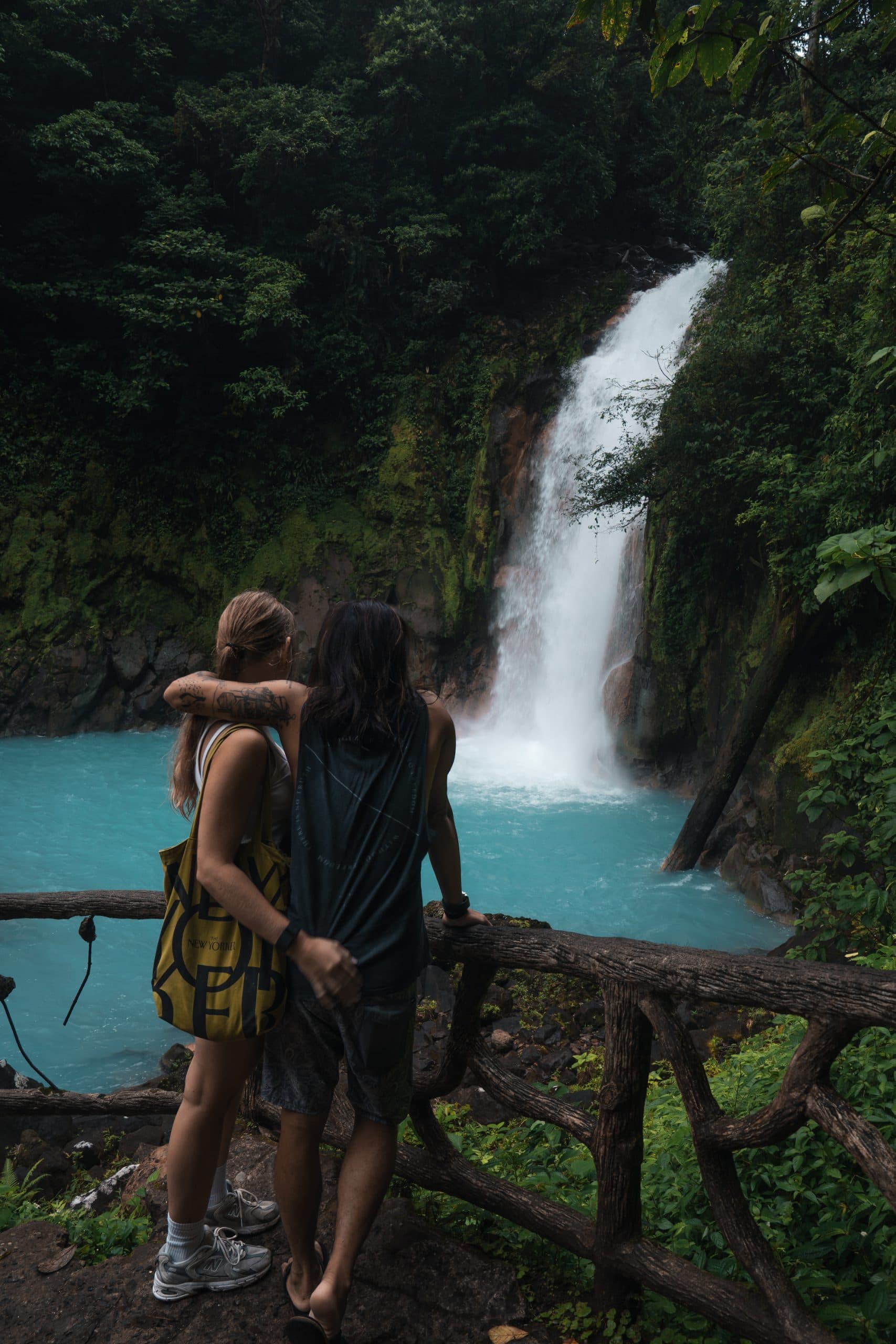Río Celeste Waterfall & Sloth Tour, photo 1