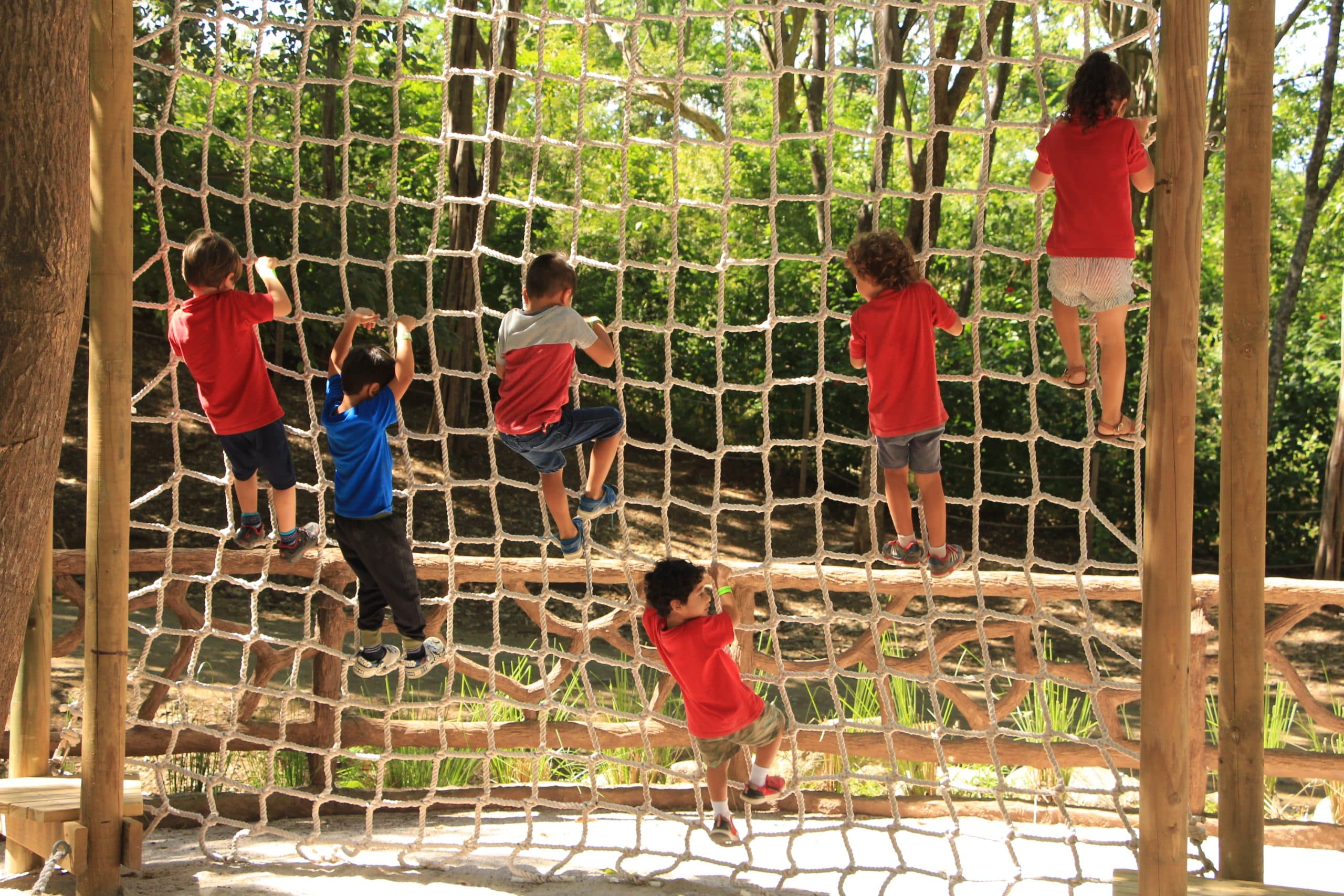 Diamante Eco Adventure Park, photo 3