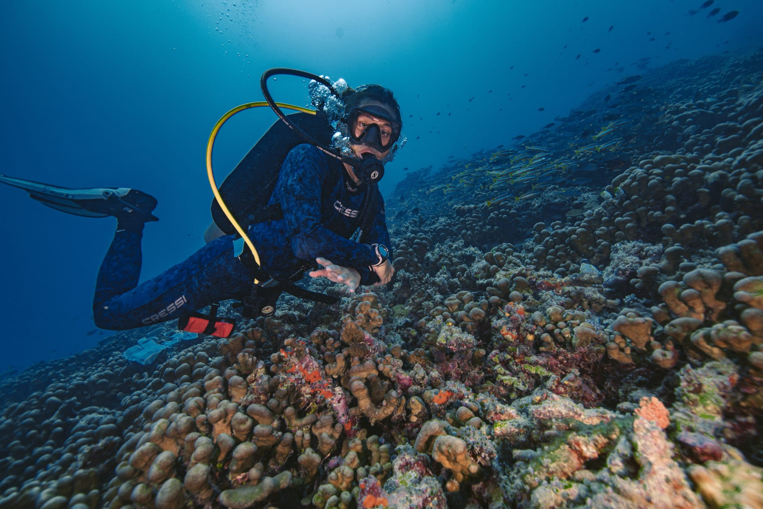 Tamarindo Scuba Diving Tour, photo 1