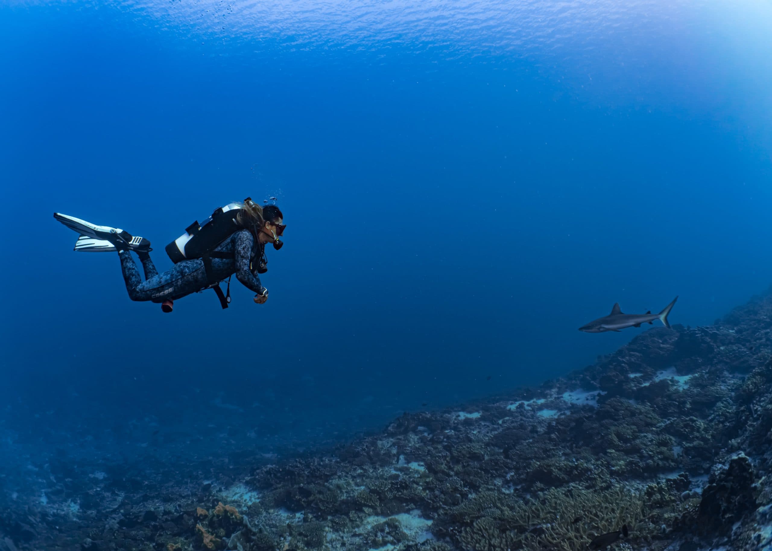 Tamarindo Scuba Diving Tour, photo 6