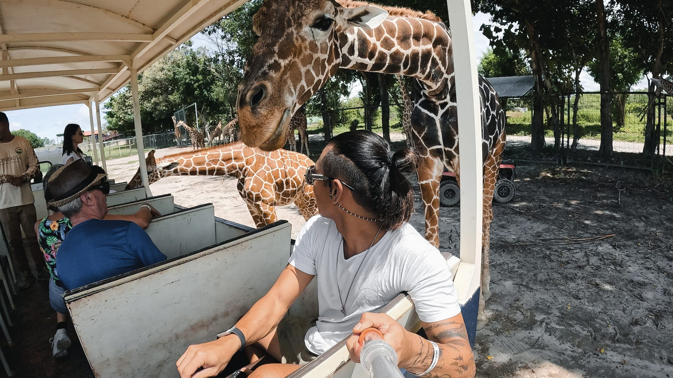 Ponderosa Safari & La Perla Waterfall, photo 5