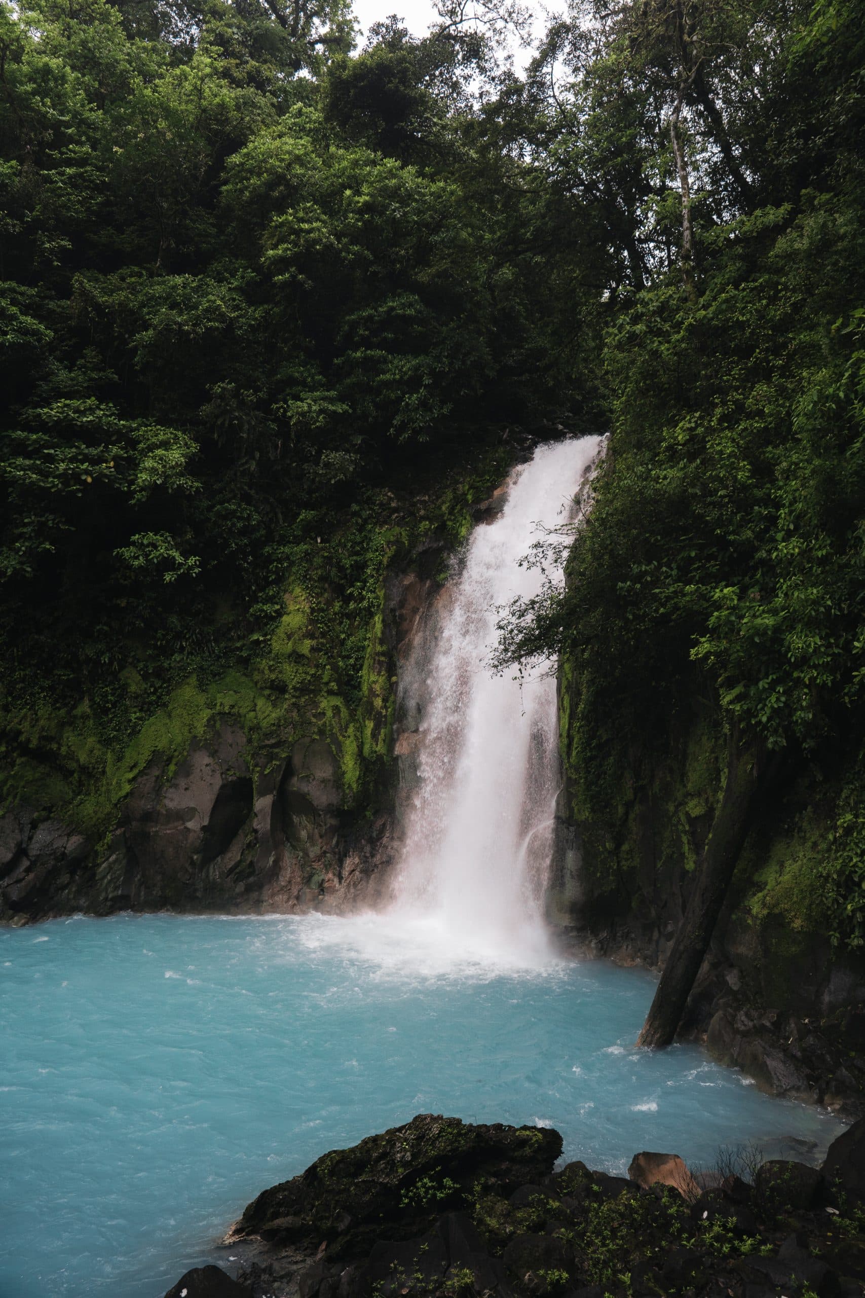 Río Celeste Waterfall & Sloth Tour, photo 3