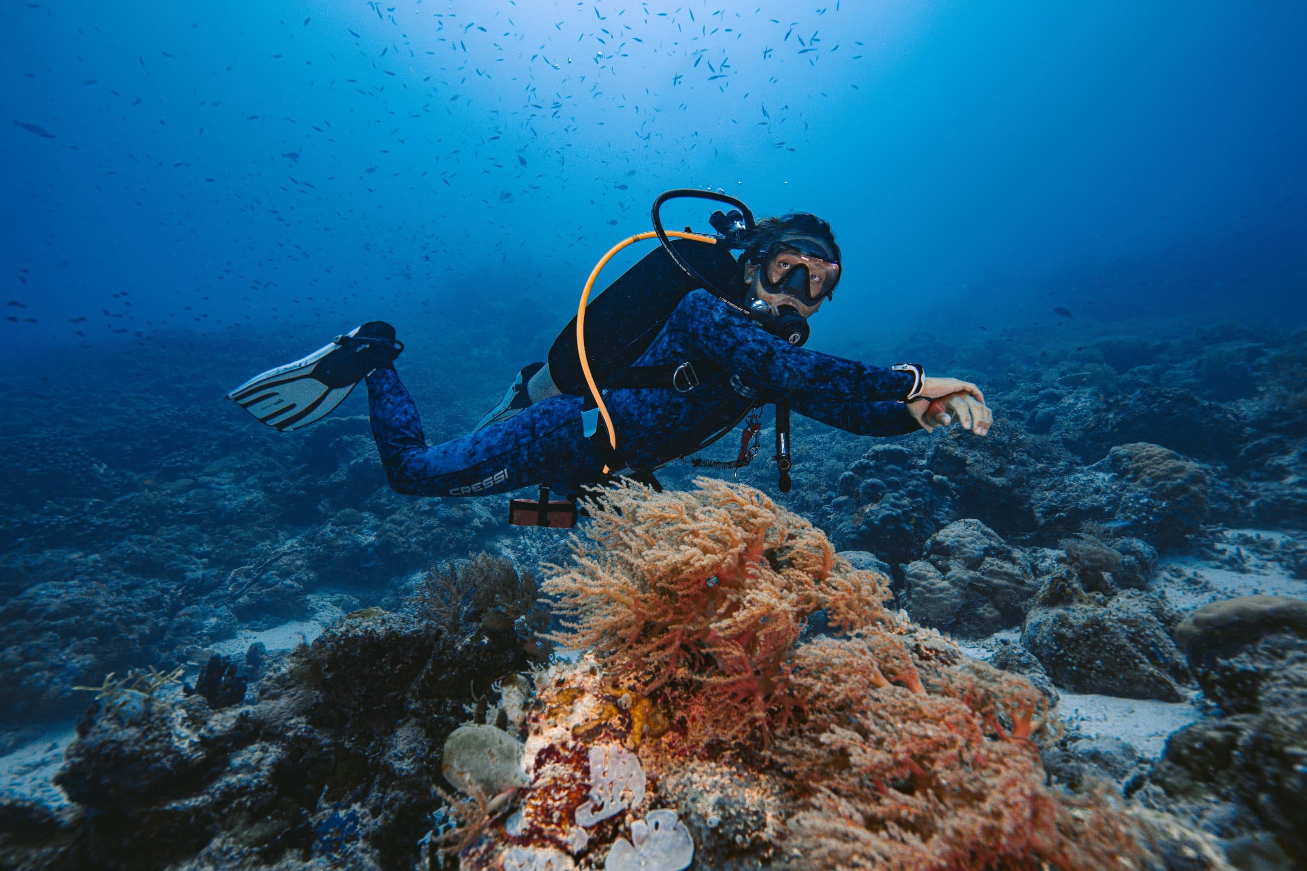 Tamarindo Scuba Diving Tour, photo 2