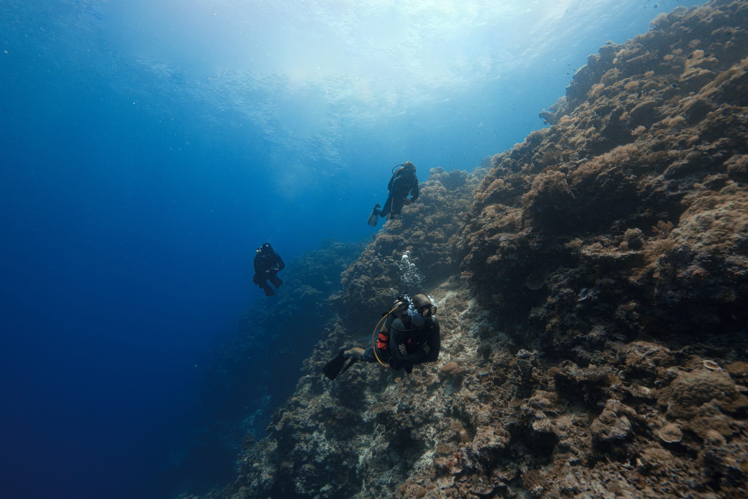 Tamarindo Scuba Diving Tour