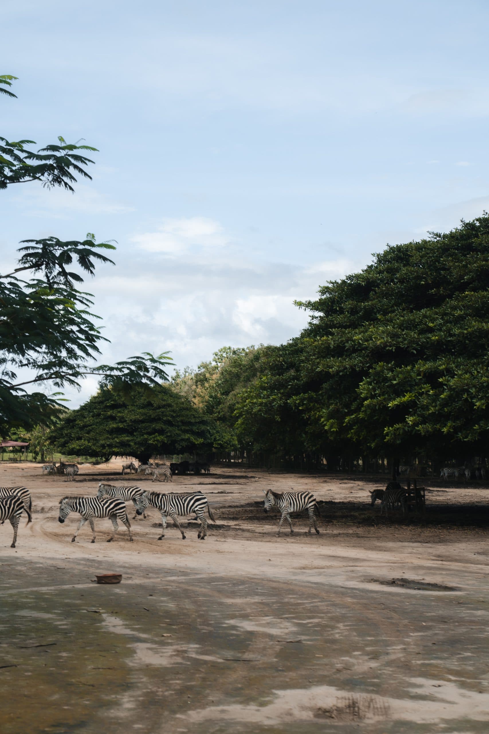 Ponderosa Safari & La Perla Waterfall, photo 1