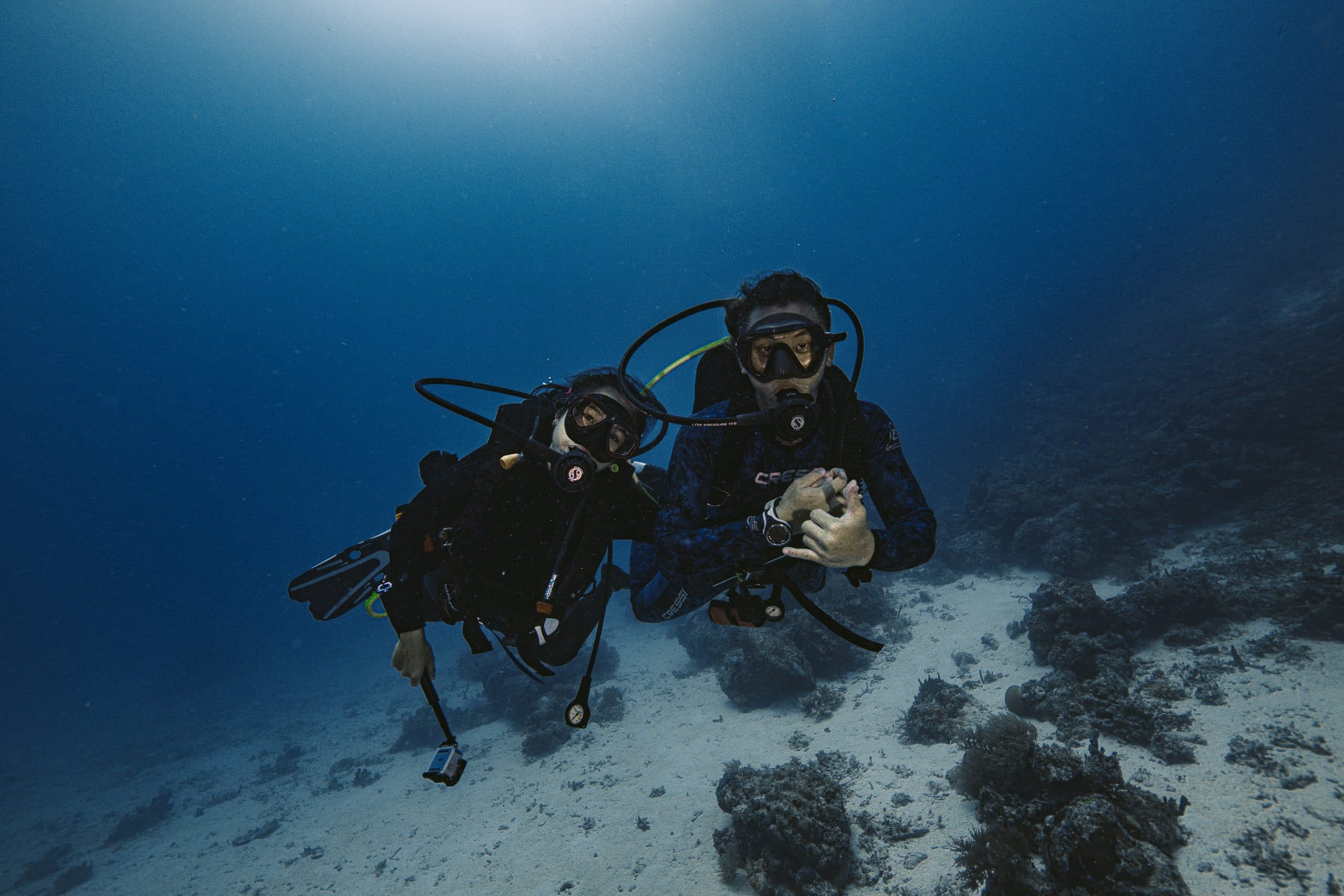 Tamarindo Scuba Diving Tour, photo 3
