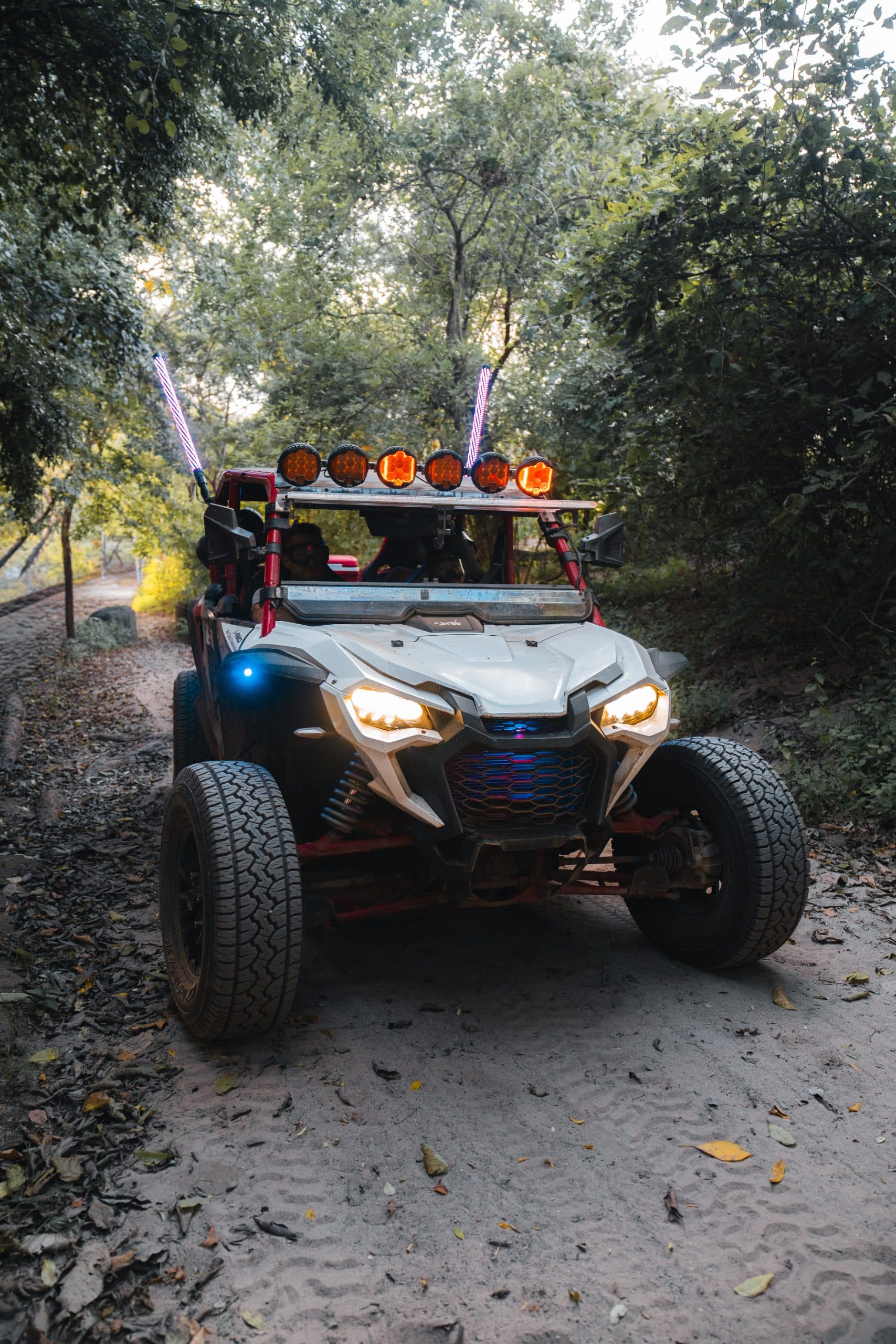 Jungle & Beach UTV Tour