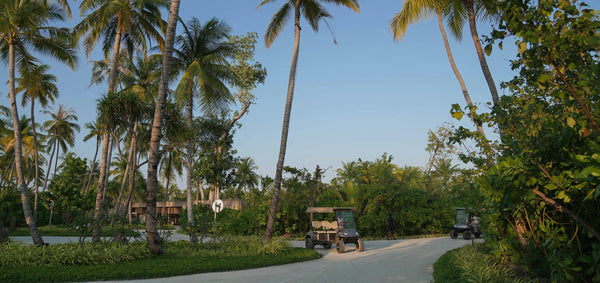 golf cart tamarindo palm trees